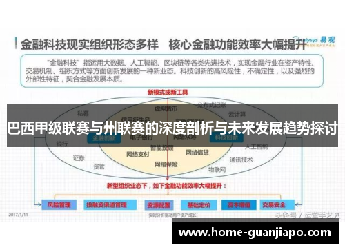 巴西甲级联赛与州联赛的深度剖析与未来发展趋势探讨