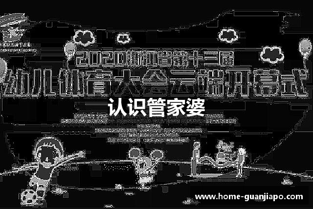 认识管家婆